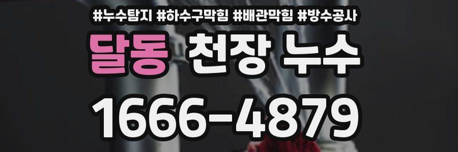 달동 천장 누수