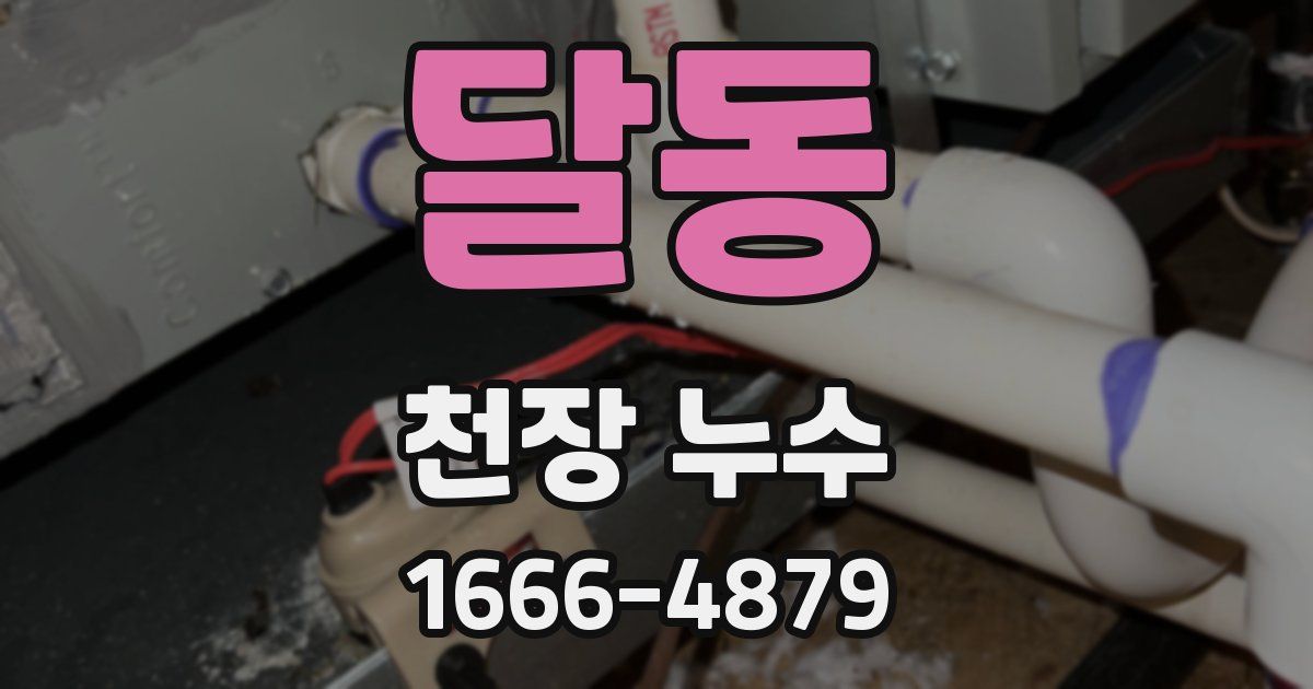 달동 천장 누수