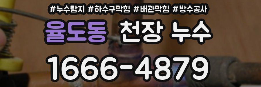 율도동 천장 누수