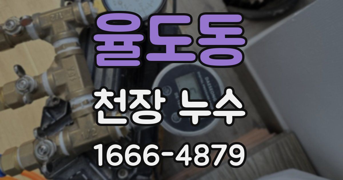 율도동 천장 누수
