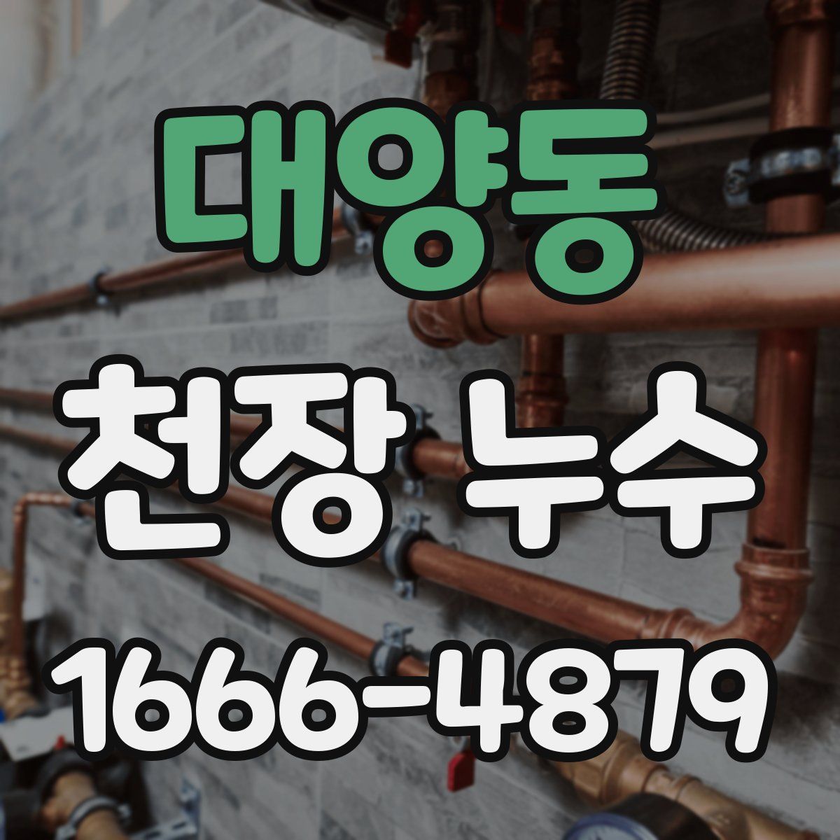 대양동 천장 누수