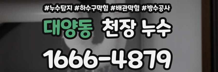 대양동 천장 누수