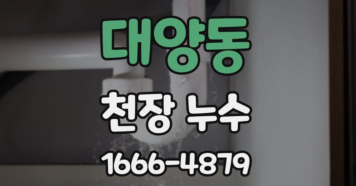 대양동 천장 누수