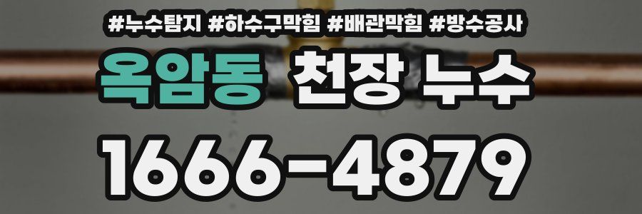 옥암동 천장 누수