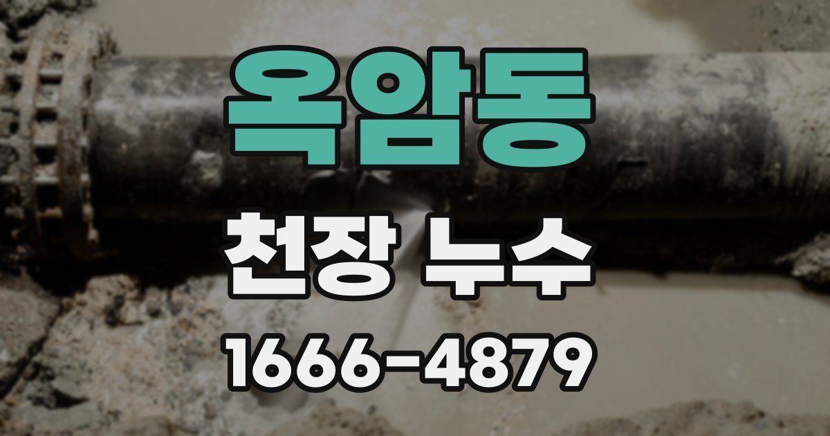 옥암동 천장 누수