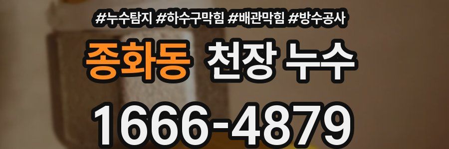 종화동 천장 누수