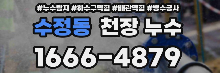 수정동 천장 누수