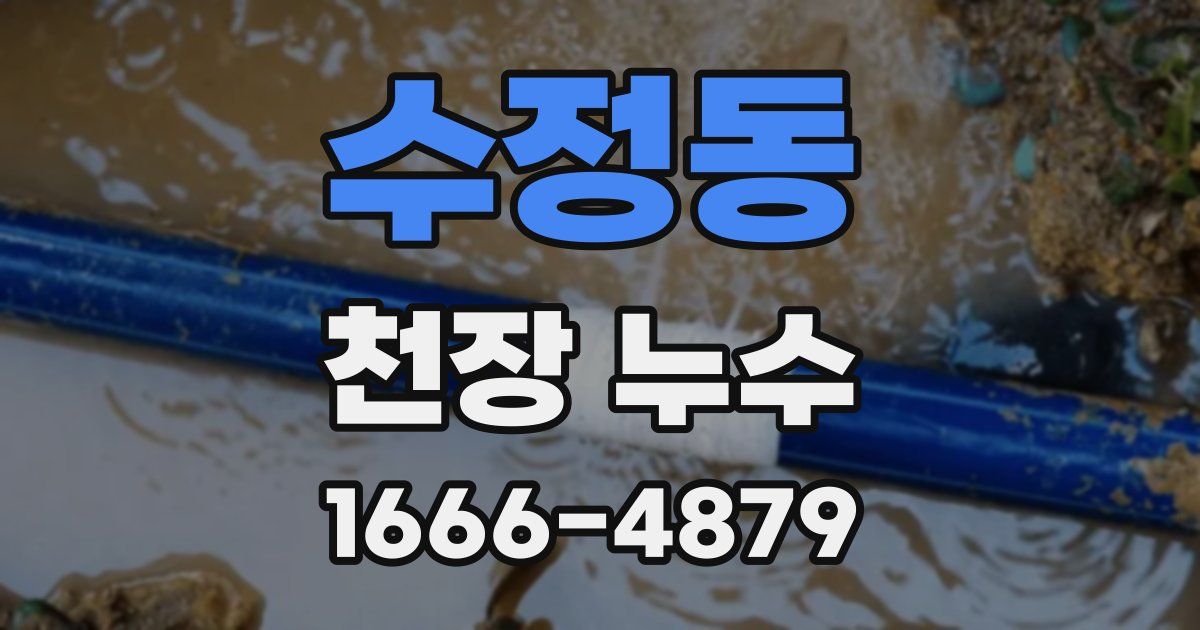 수정동 천장 누수