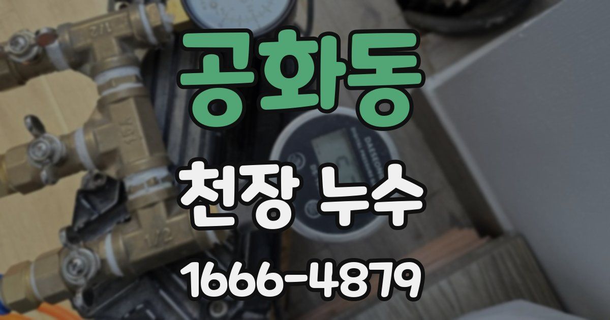 공화동 천장 누수