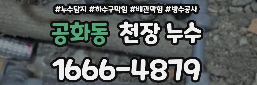 공화동 천장 누수