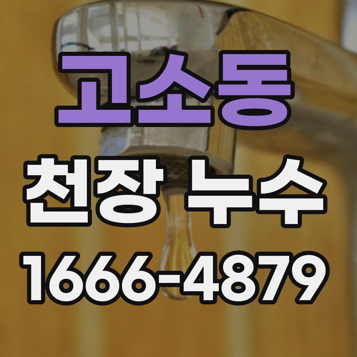 고소동 천장 누수