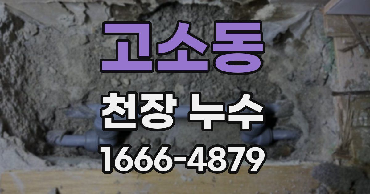 고소동 천장 누수