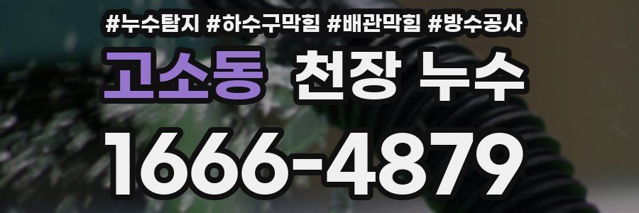 고소동 천장 누수