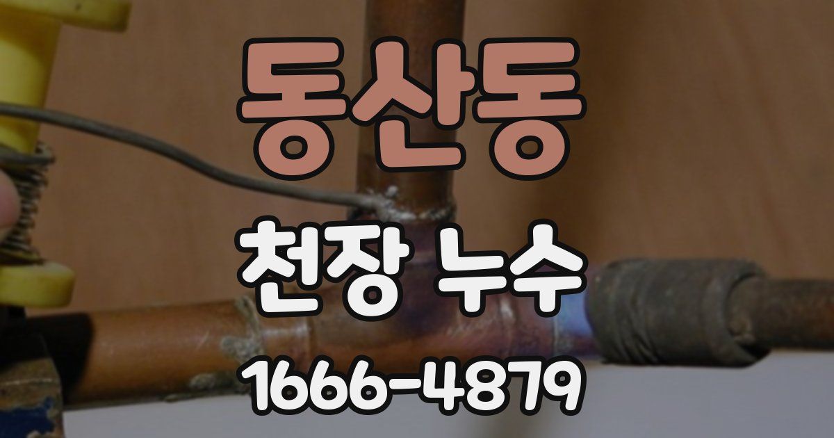 동산동 천장 누수