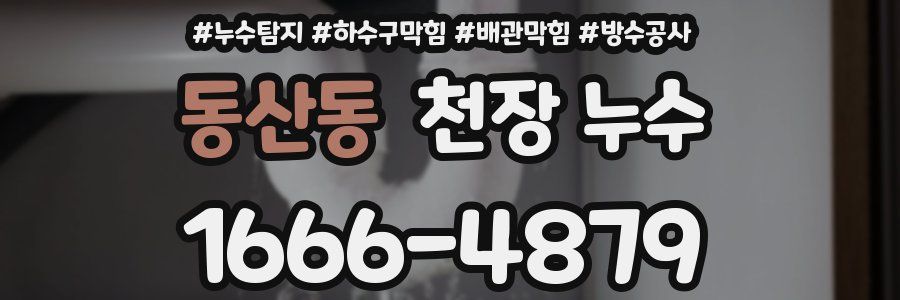 동산동 천장 누수