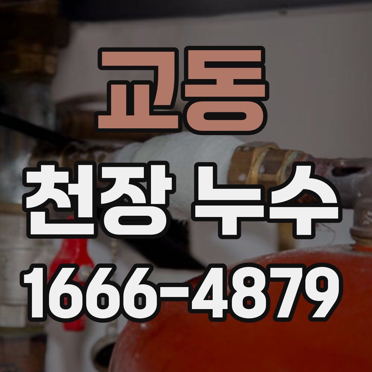 교동 천장 누수