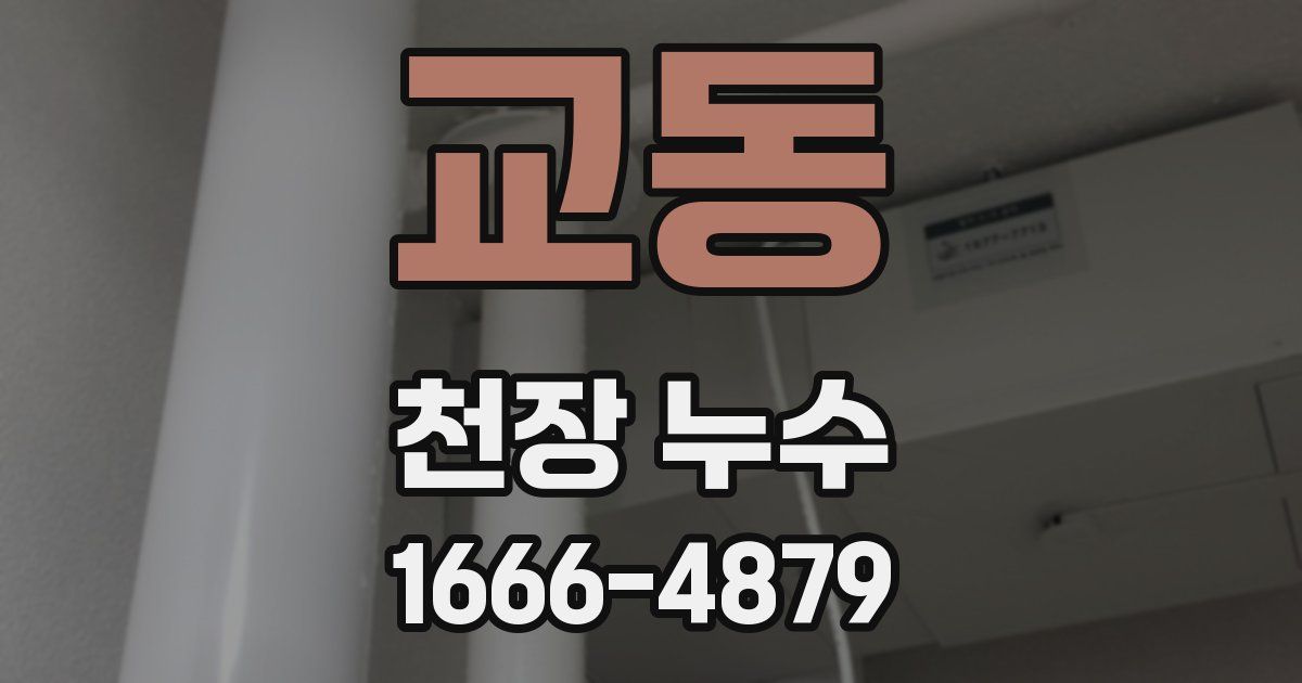 교동 천장 누수