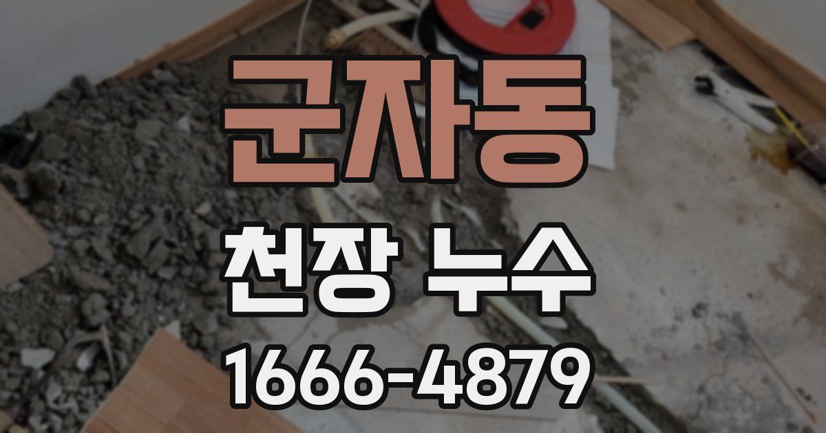 군자동 천장 누수