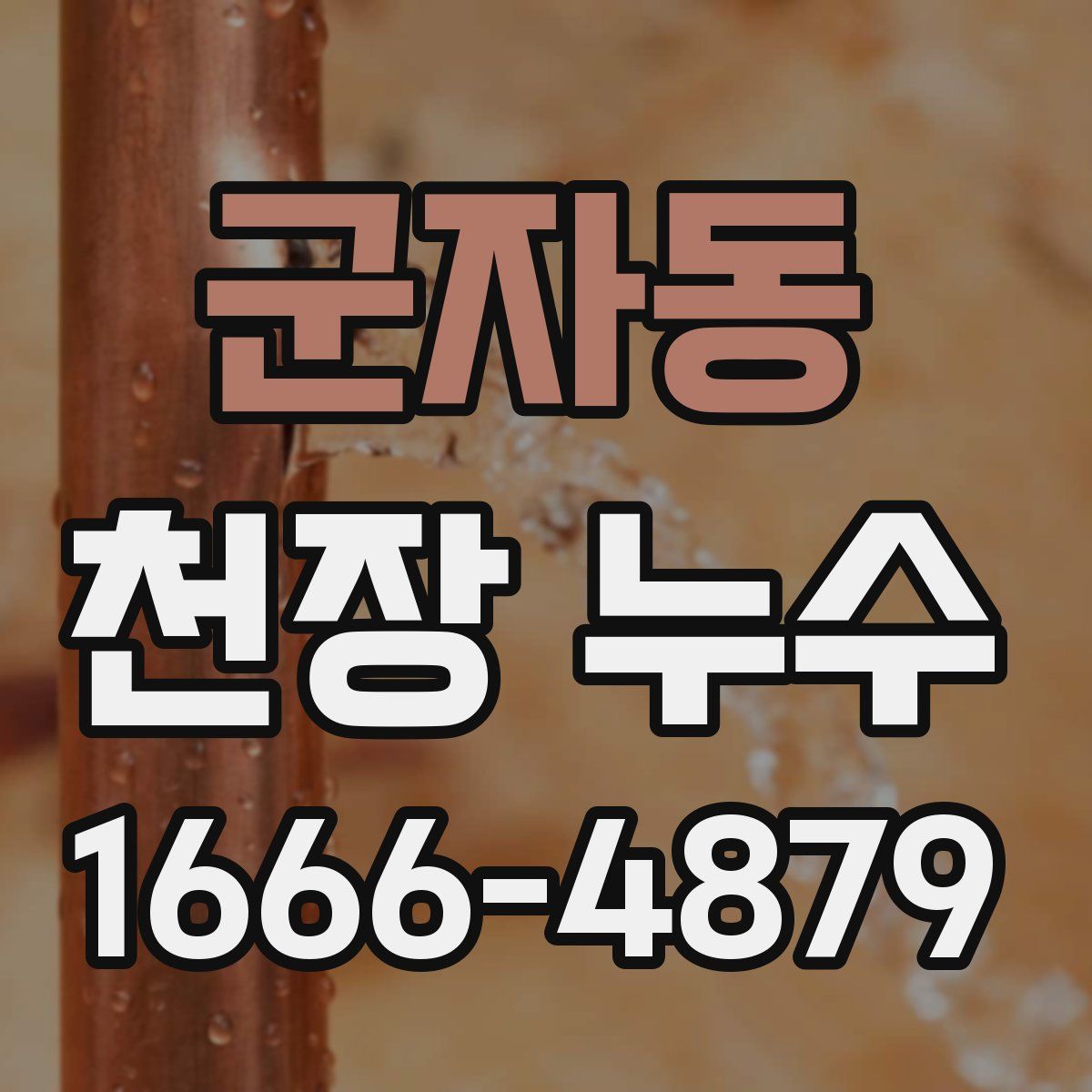 군자동 천장 누수