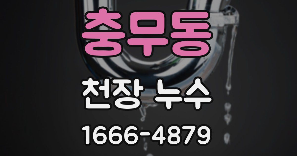 충무동 천장 누수