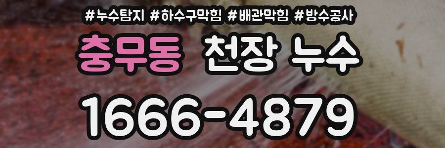 충무동 천장 누수