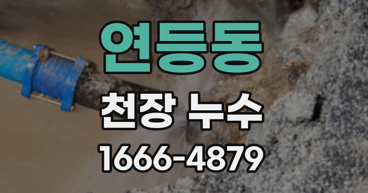 연등동 천장 누수