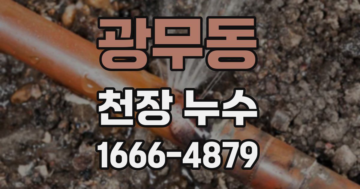 광무동 천장 누수