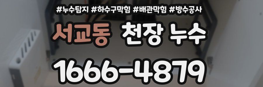 서교동 천장 누수