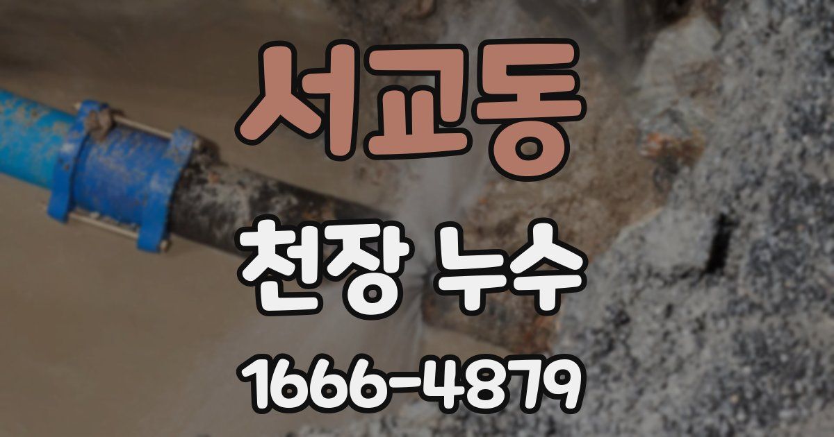 서교동 천장 누수