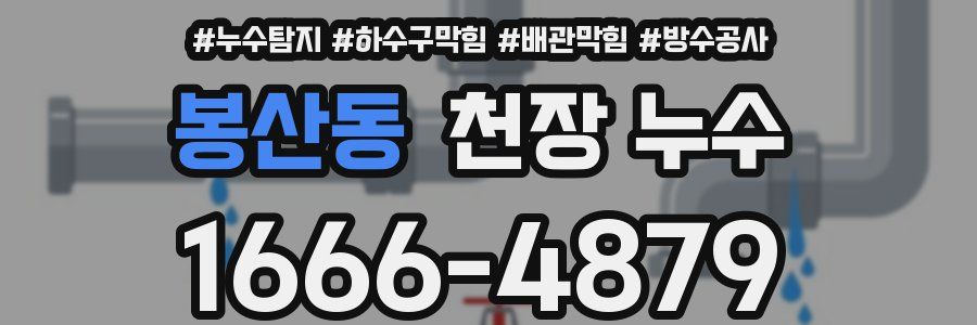 봉산동 천장 누수