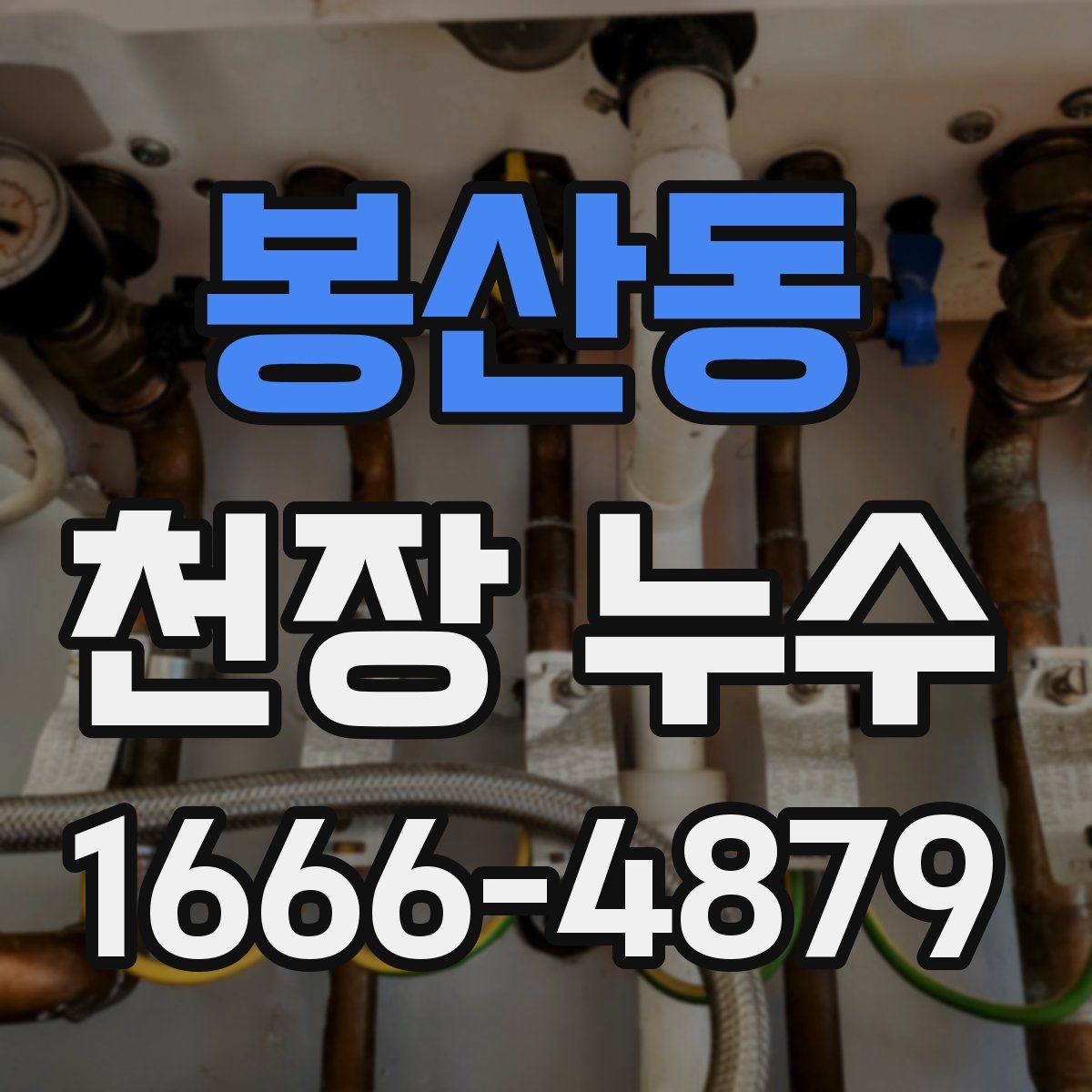 봉산동 천장 누수