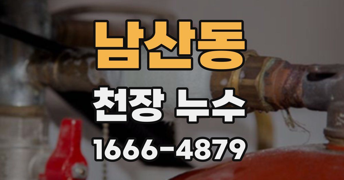 남산동 천장 누수