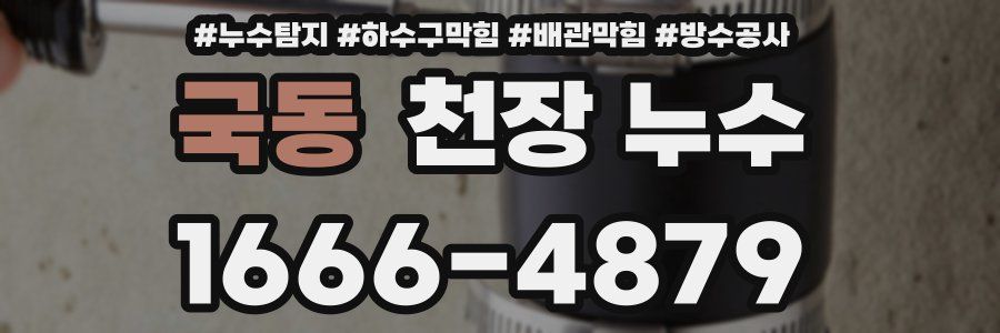 국동 천장 누수