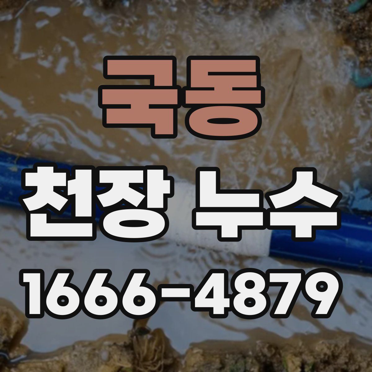 국동 천장 누수