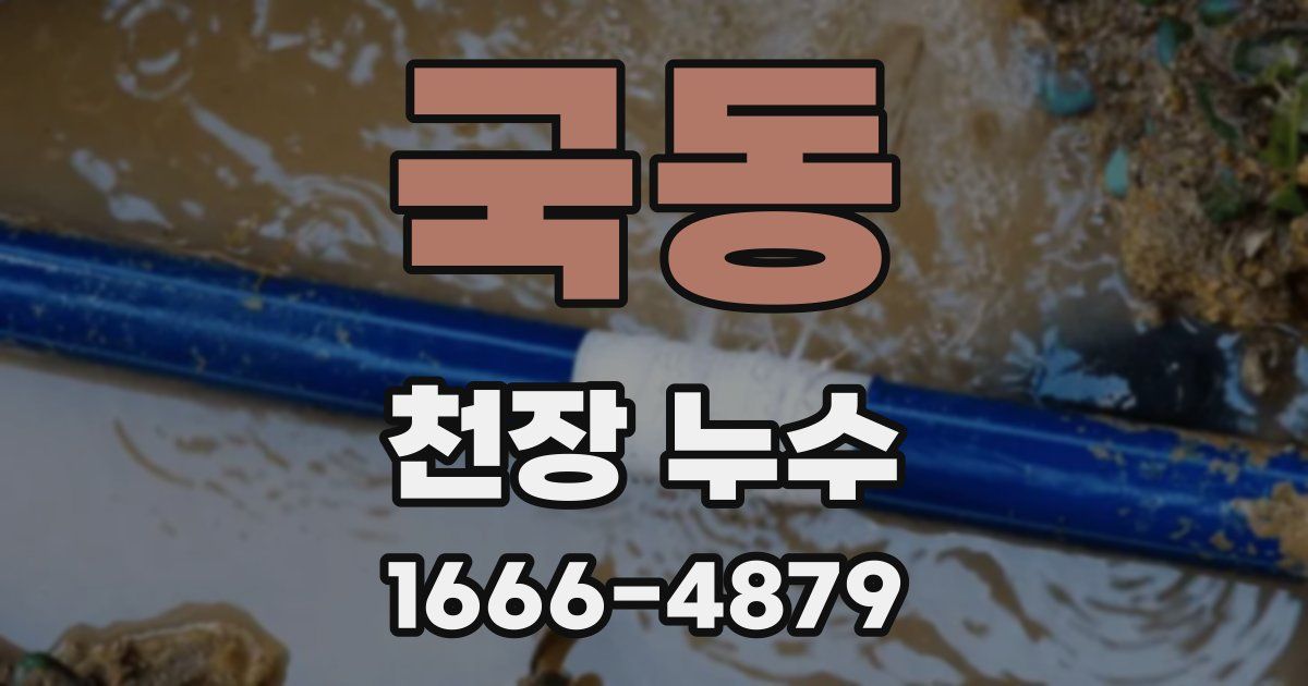 국동 천장 누수