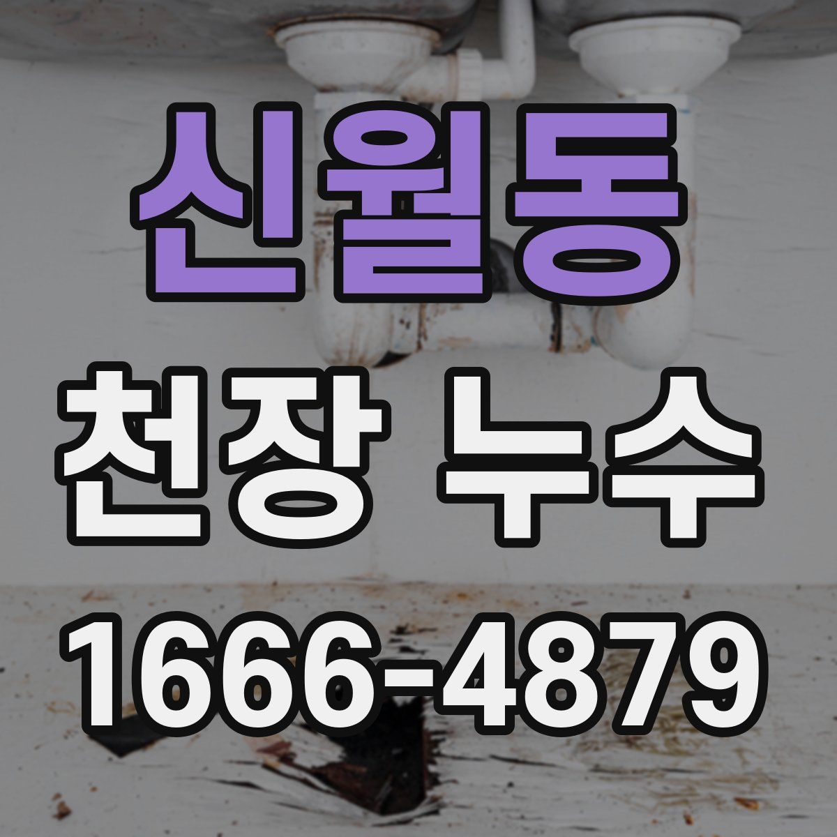 신월동 천장 누수