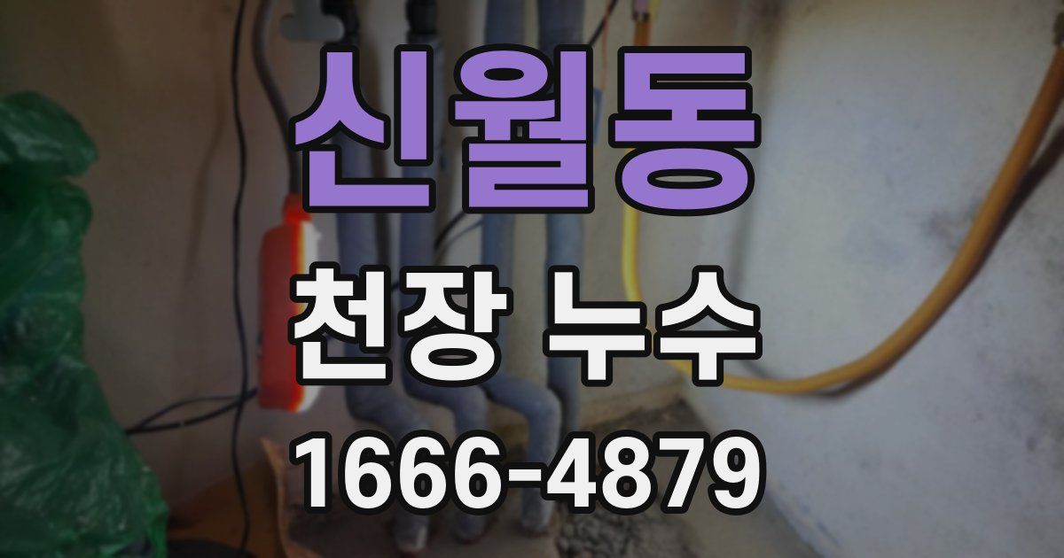 신월동 천장 누수
