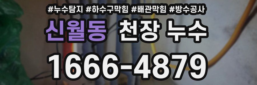 신월동 천장 누수