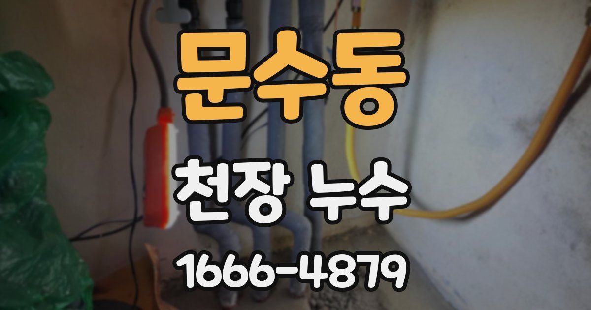 문수동 천장 누수