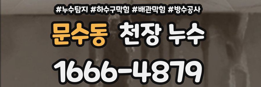 문수동 천장 누수