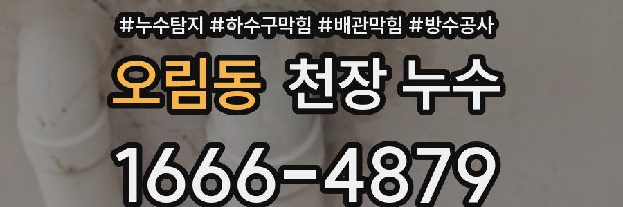 오림동 천장 누수