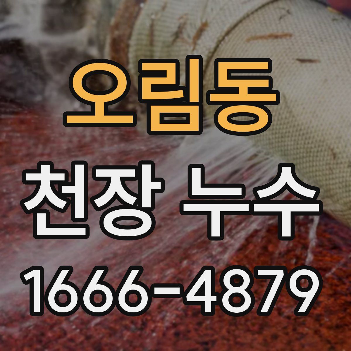 오림동 천장 누수