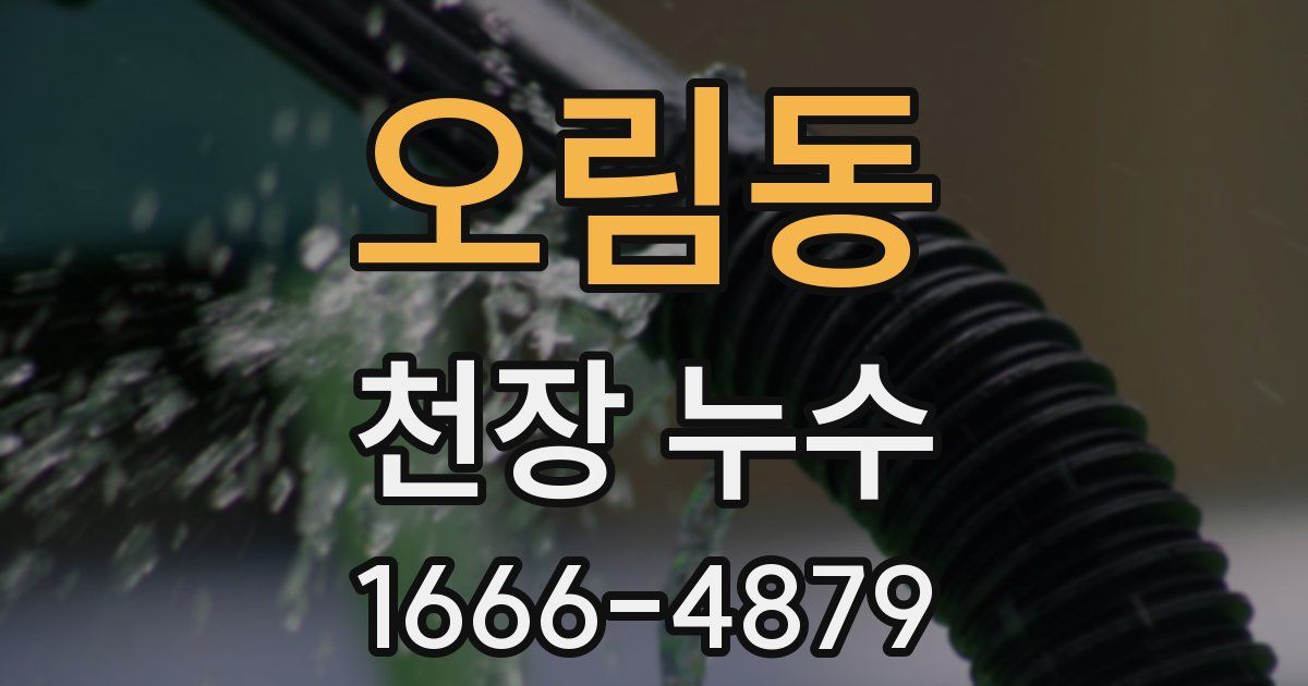 오림동 천장 누수