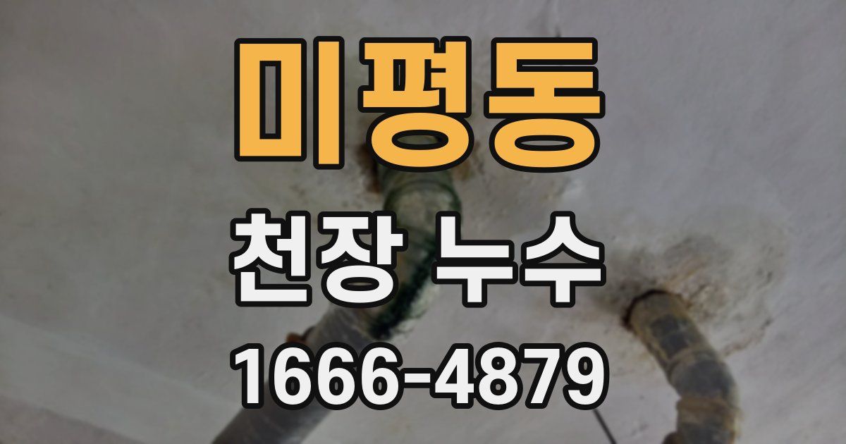 미평동 천장 누수