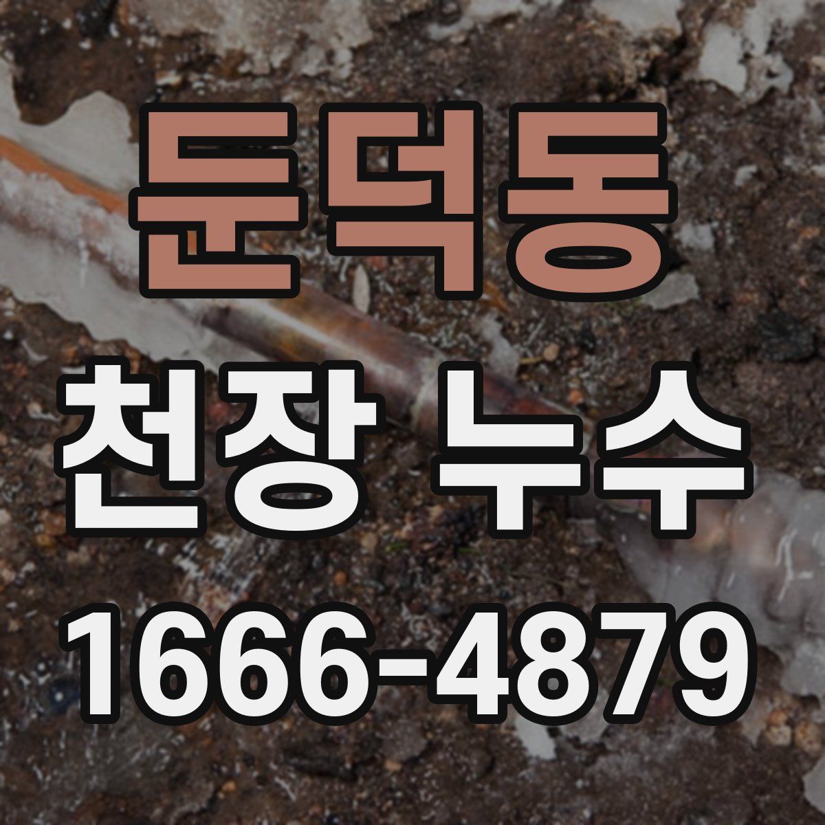 둔덕동 천장 누수