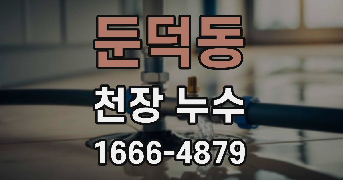 둔덕동 천장 누수