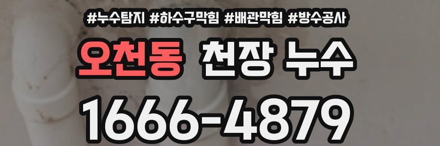오천동 천장 누수