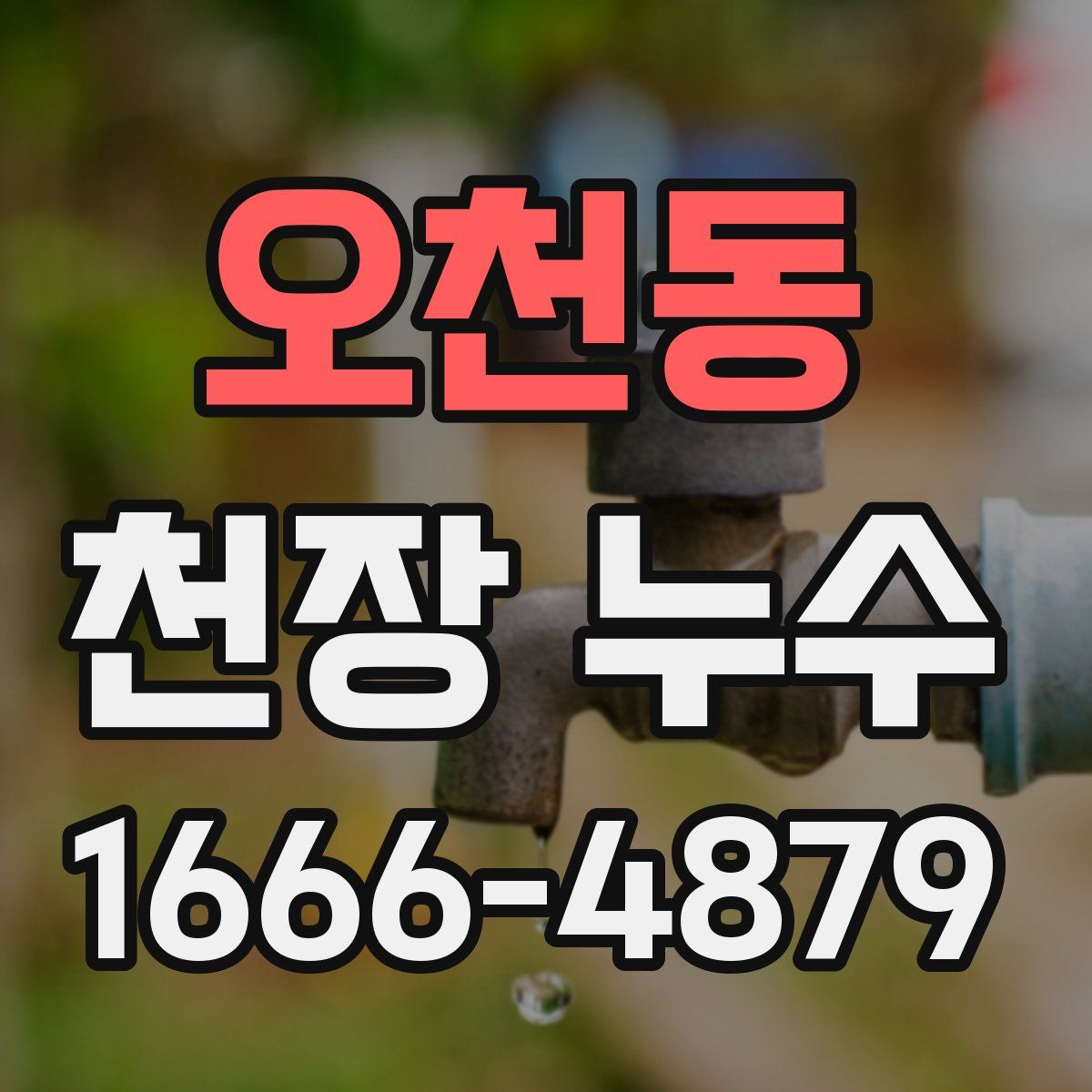 오천동 천장 누수