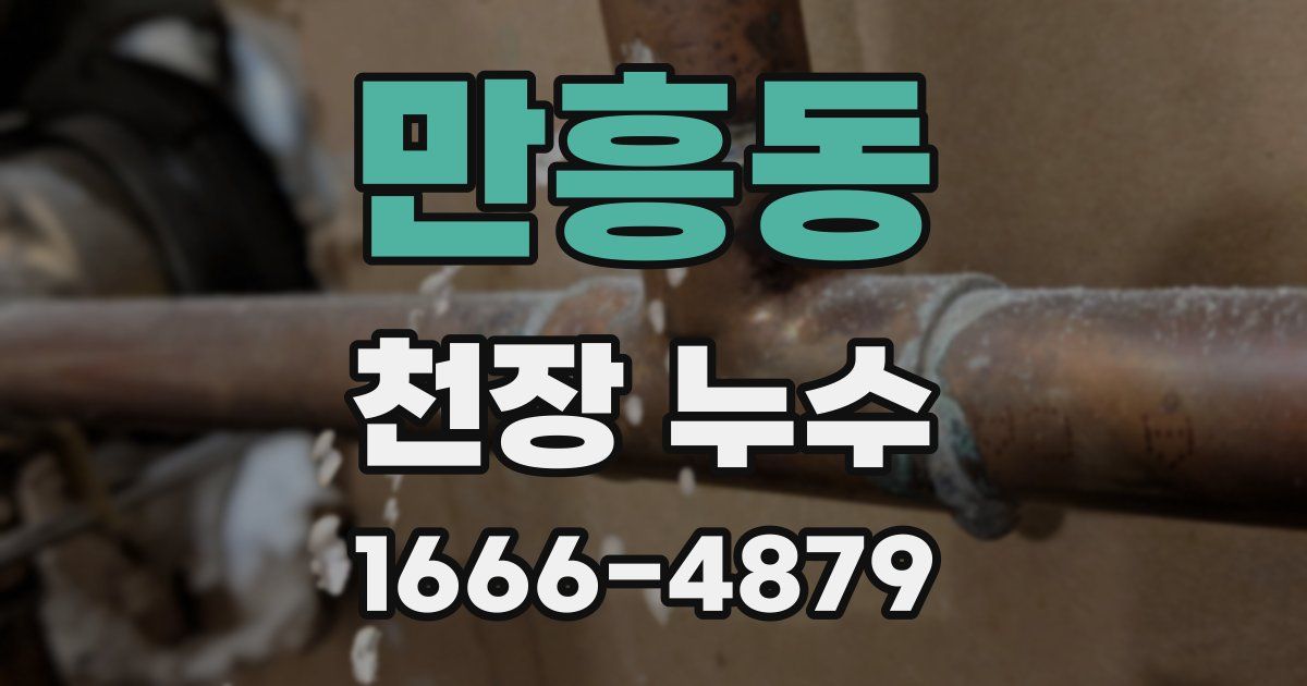 만흥동 천장 누수