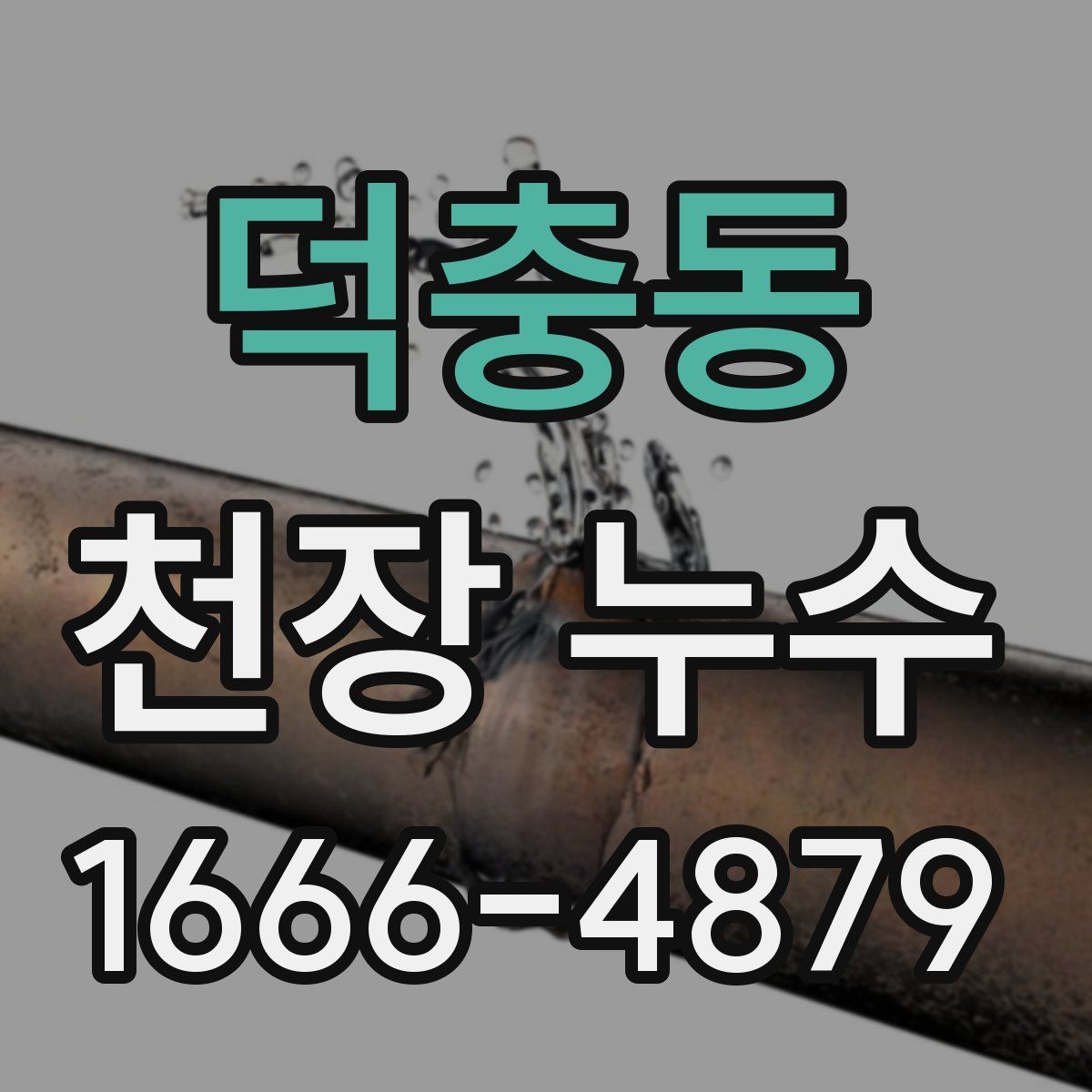 덕충동 천장 누수